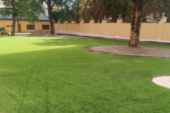 slide-3